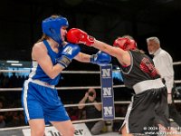 amateurkampen tijdens gentse boksgala  fotoboek